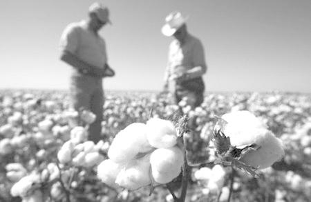 �����޻������ɱ�������ıȽ�